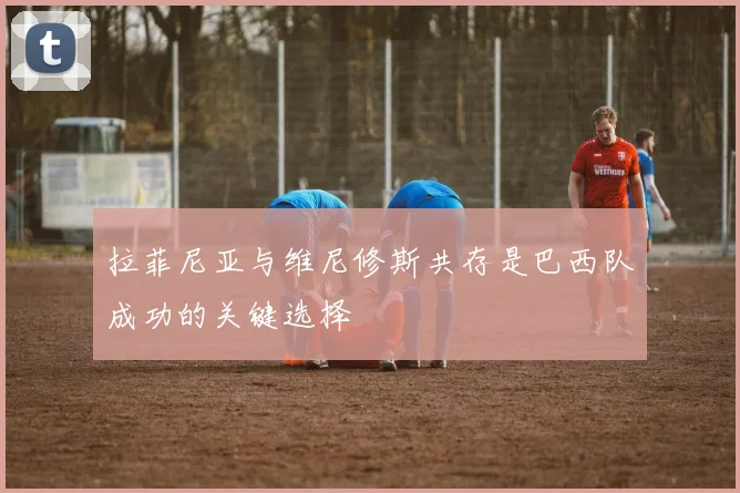 拉菲尼亚与维尼修斯共存是巴西队成功的关键选择